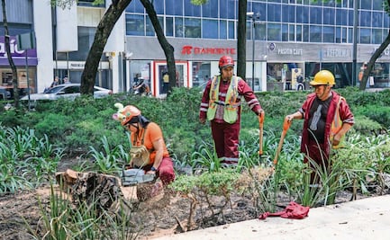 Tras derrota de México, empieza remozamiento de Reforma