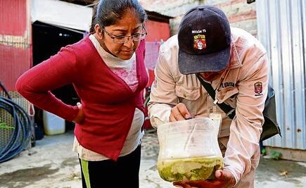 Confirman 11 casos de dengue en Tuxtepec