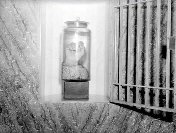 El medio brazo de un presidente que duró 74 años en formol