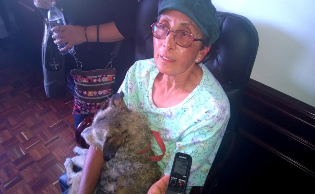 (Foto: Juan Manuel Barrera/El Universal) 