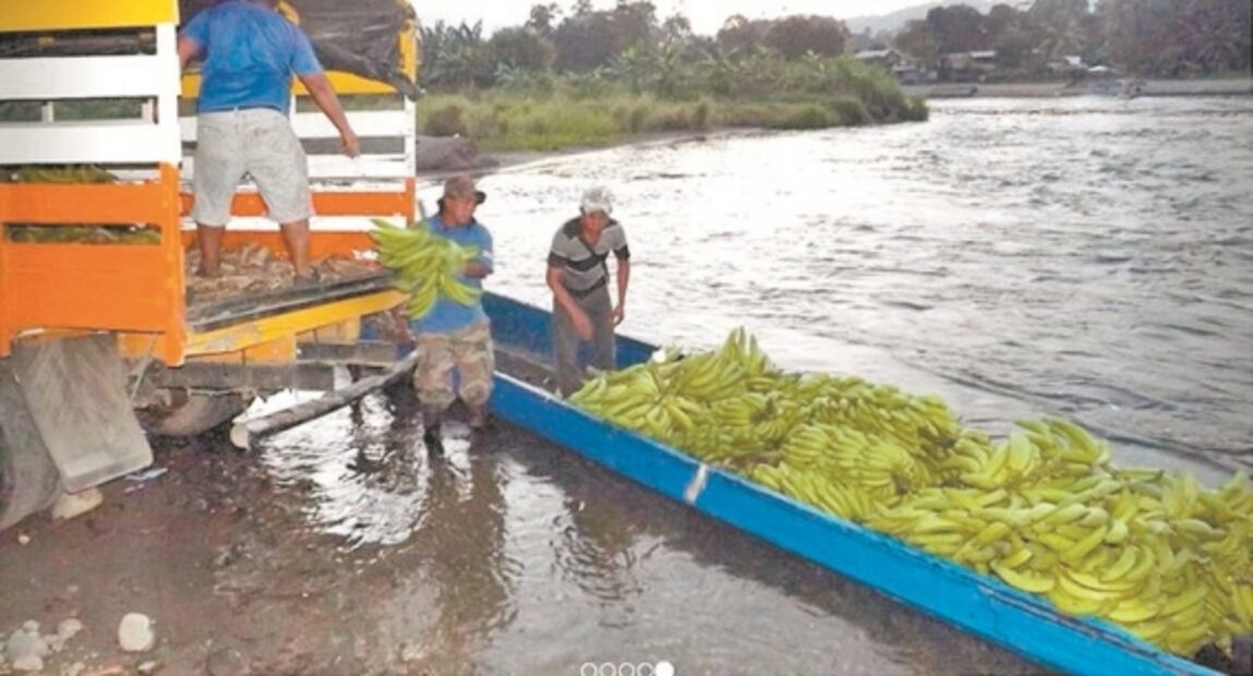 “Virus pone a pueblos en riesgo de extinción”