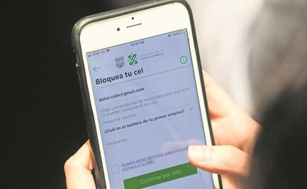 Piden que se regule mensajería, celulares de prepago y seguridad privada