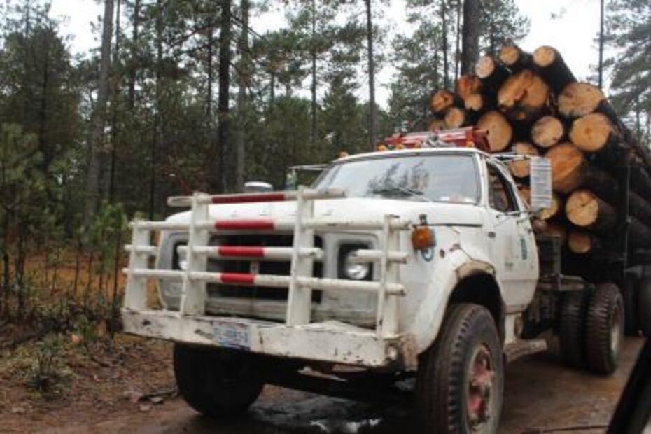 Vivir bajo cero grados… y con la leña cara