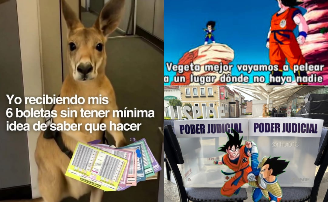 Los mejores memes que dejó el inicio de la elección judicial 2025. Foto: Redes sociales