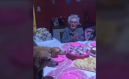 ¡Plan de vida! Abuela cumplió 89 años e invitó a sus 10 perros