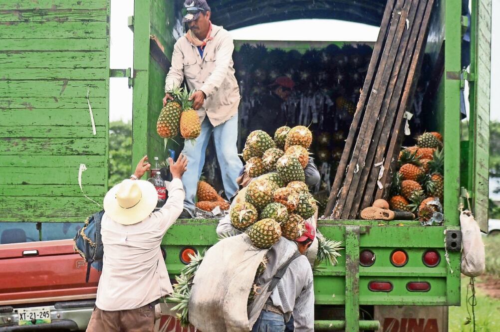 La Unidem pide a las autoridades permitir el paso a unidades que transporten productos perecederos como frutas (ARCHIVO EL UNIVERSAL)