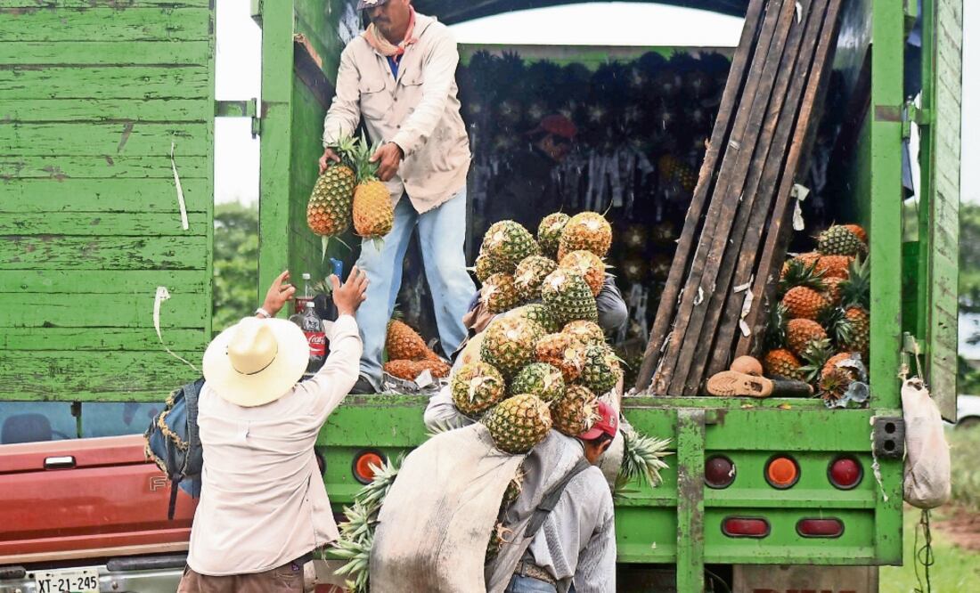 La Unidem pide a las autoridades permitir el paso a unidades que transporten productos perecederos como frutas (ARCHIVO EL UNIVERSAL)