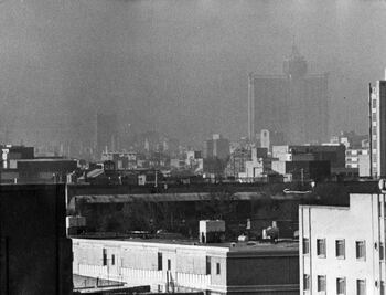 ¿Recuerdas cuando en 1987 murieron pájaros en el DF por contaminación?