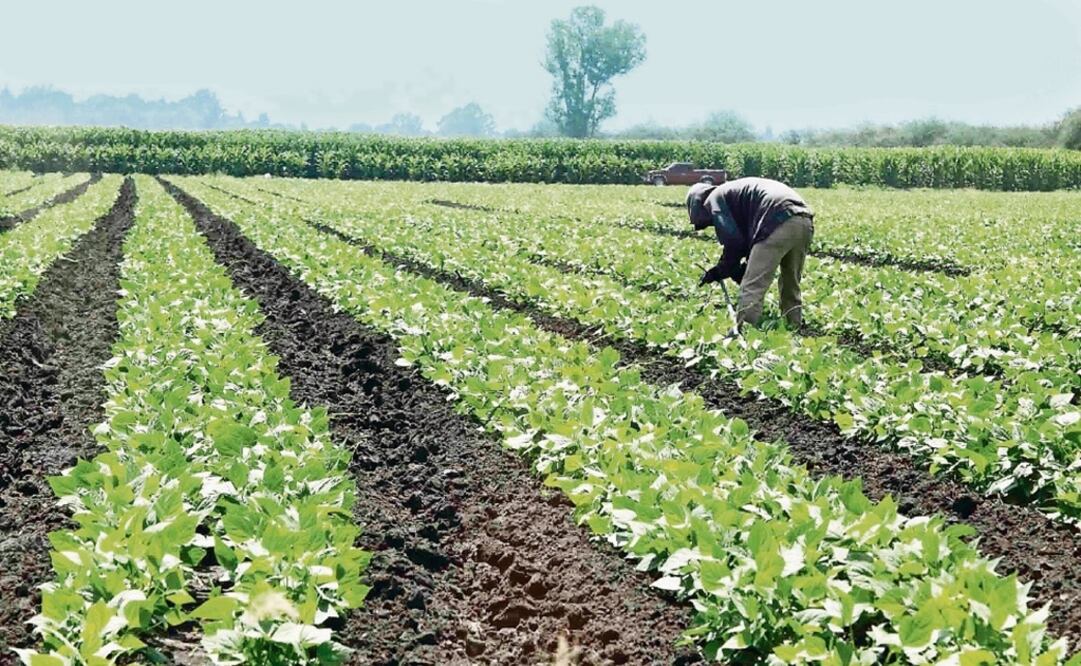 La mayoría de productos a los que EU impuso aranceles son agropecuarios, pero también se incluyeron plásticos. (ARCHIVO EL UNIVERSAL)