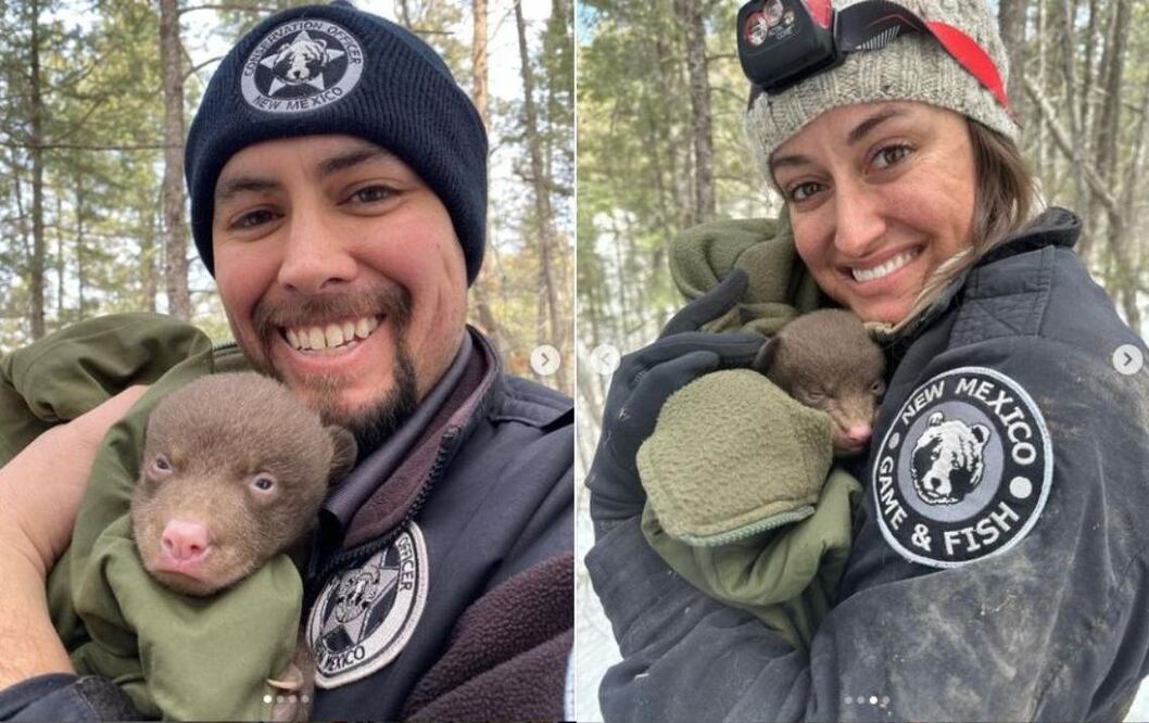Oficiales del Departamento de Caza y Pesca de Nuevo México con oseznos. FOTO: Instagram @nmgameandfish