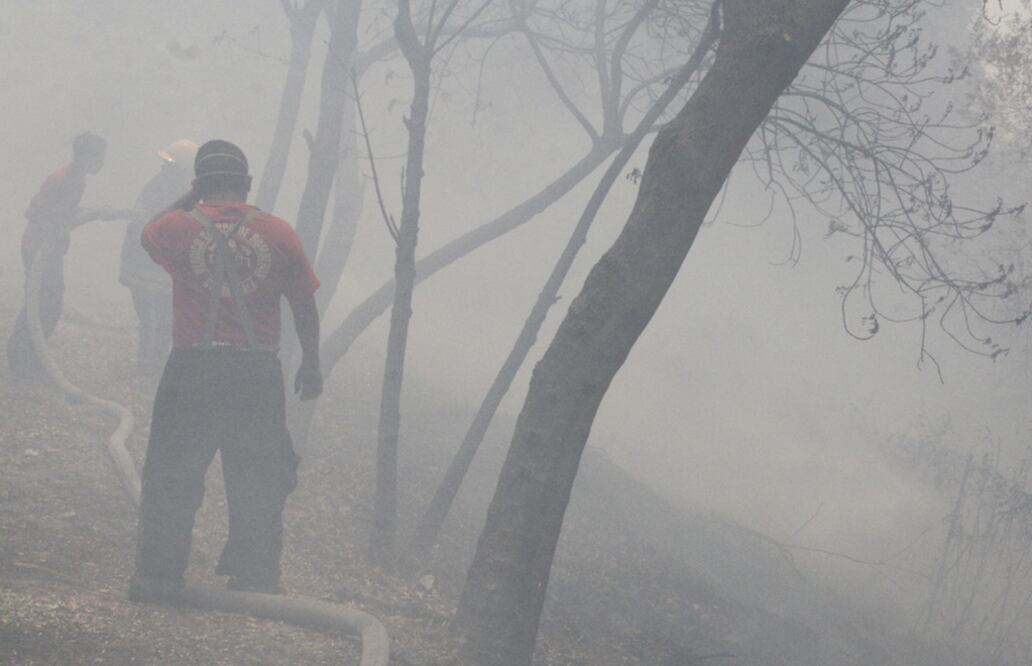 Foto: Archivo/EL UNIVERSAL