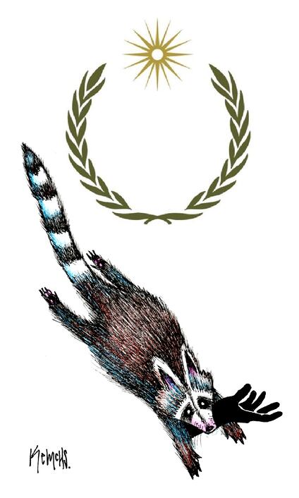 Mapachada