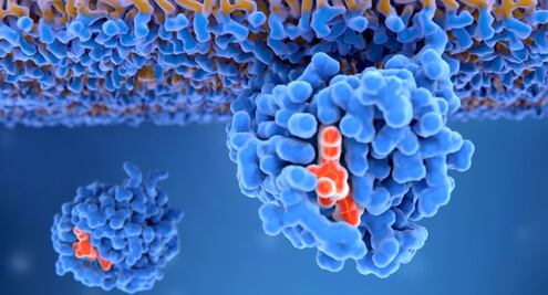 La proteína "maldita" del cáncer que es el objetivo de las investigaciones para los tratamientos modernos