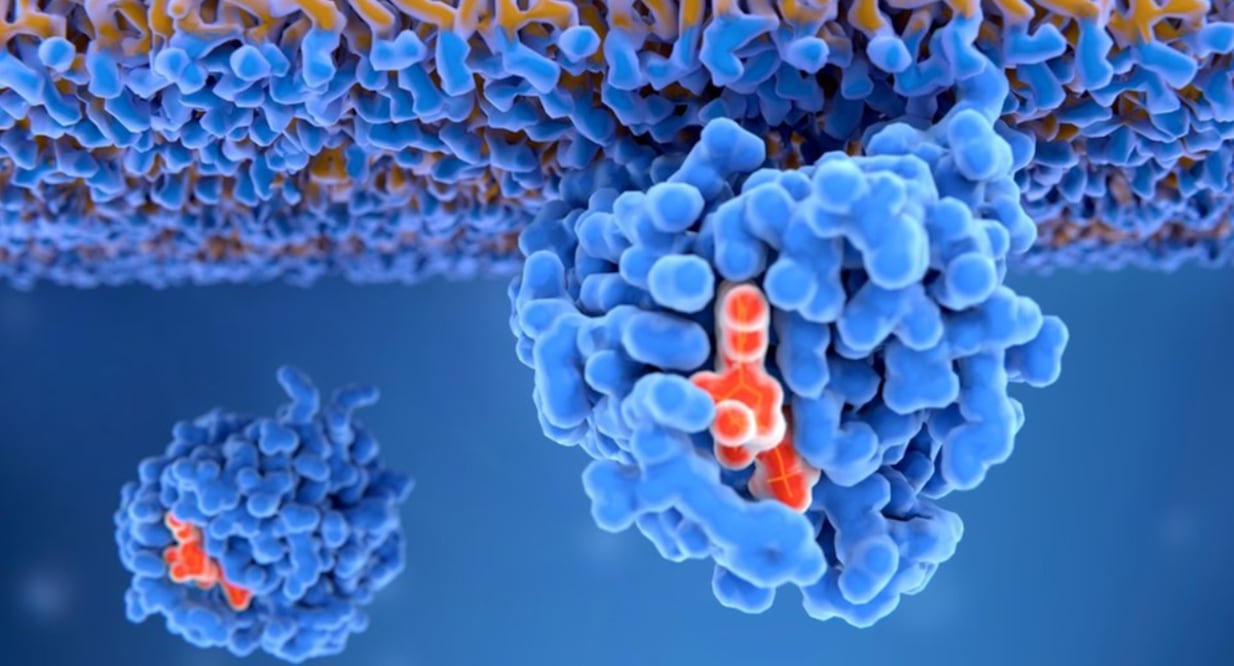 Foto: Getty Image vía BBC