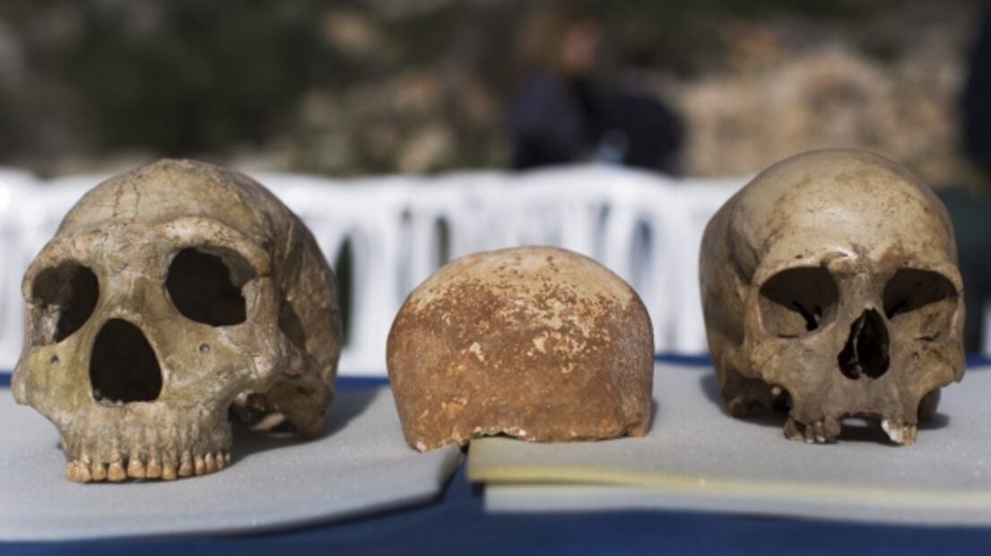 Tus genes neandertal pueden salvarte del Covid-19, según estudio