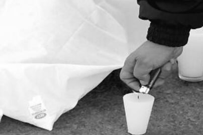 Hombre muere presuntamente a golpes tras riña en calzada San Antonio Abad