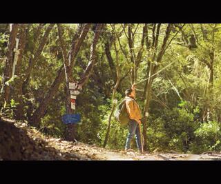 Sigue la ruta del peregrino, camino a la Virgen de Talpa