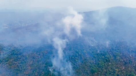 Suman 24 incendios forestales activos en toda la entidad