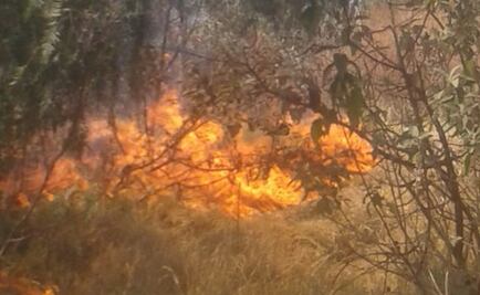 Bomberos laboran por incendio forestal en zona de Xochimilco