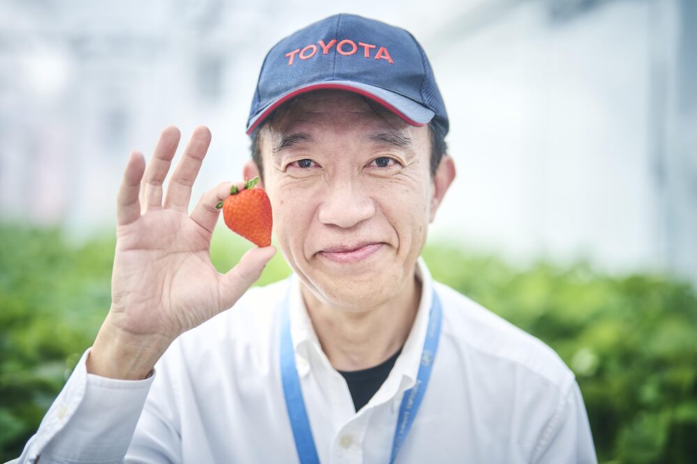 En Japón, Toyota también cultiva frutas y verduras.