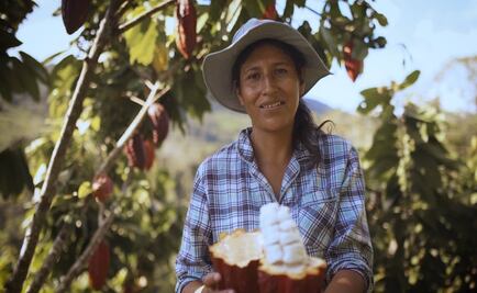 Rainforest Alliance y UTZ se unen por la agricultura sostenible