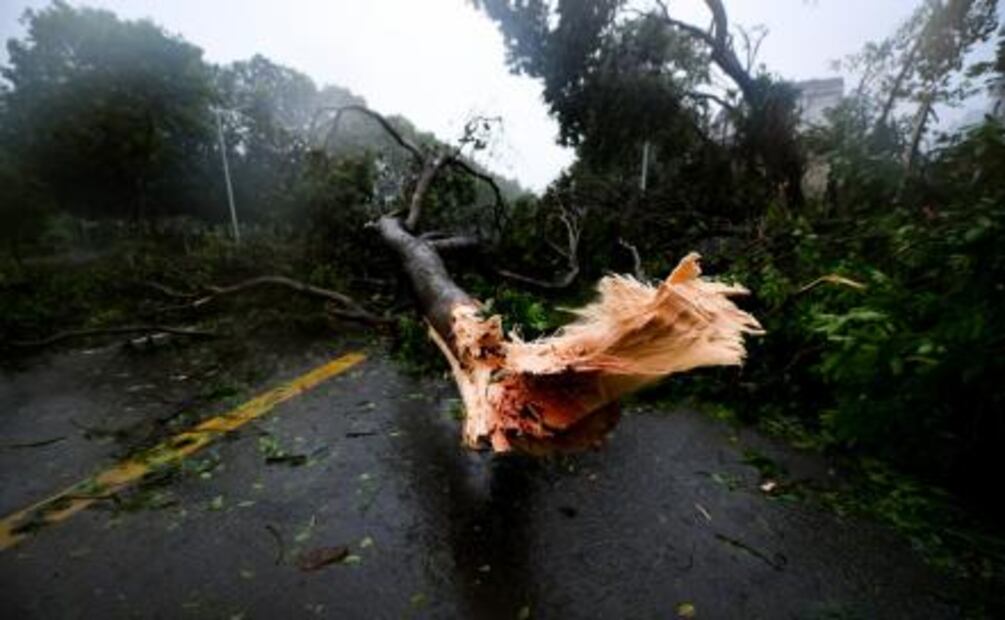 Tifón Mangkhut llega a sureste de China; reportan dos muertos