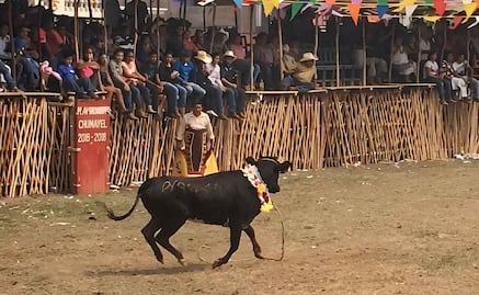 Animalistas obtienen suspensión provisional de corridas de toros en fiestas patronales de 3 municipios yucatecos; resolución condiciona eventos 