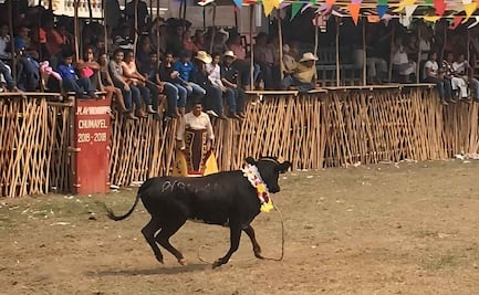 Animalistas obtienen suspensión provisional de corridas de toros en fiestas patronales de 3 municipios yucatecos; resolución condiciona eventos