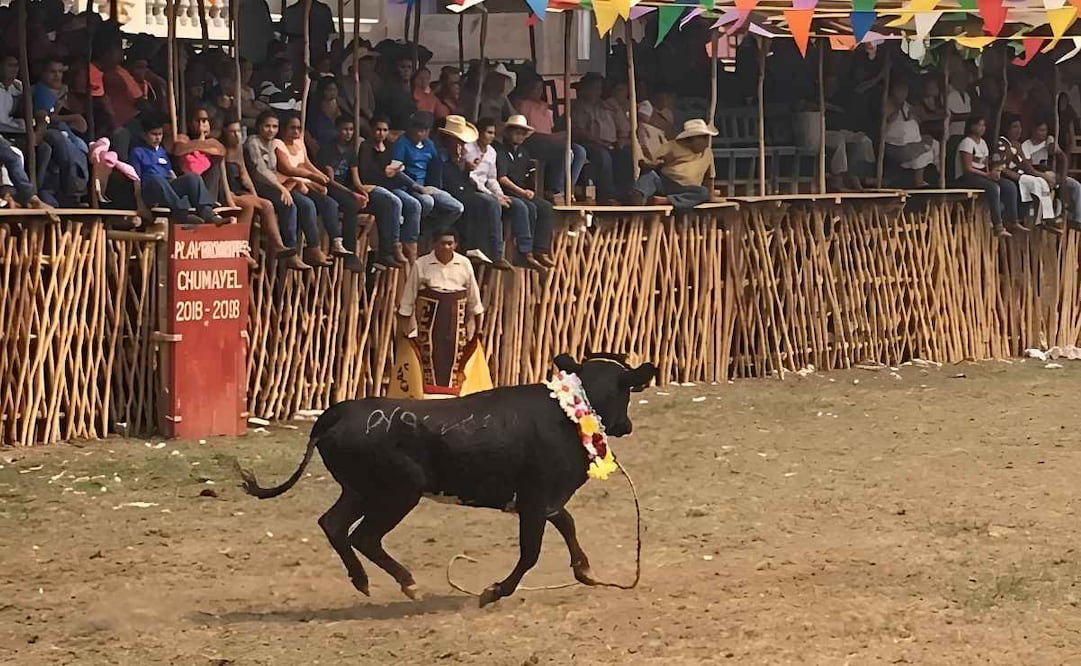 04/09/2026. Frenan mediante resoluciones judiciales el maltrato animal en corridas de toros. | Foto: Especial.