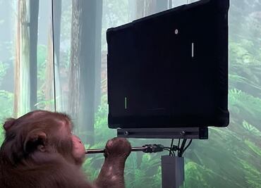 Neuralink, de Elon Musk, muestra a un mono jugando un videojuego con la mente