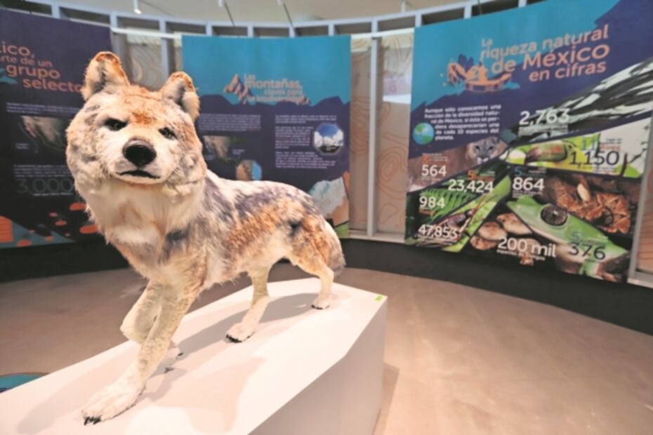 Pabellón de la Biodiversidad reúne la cultura y la ciencia