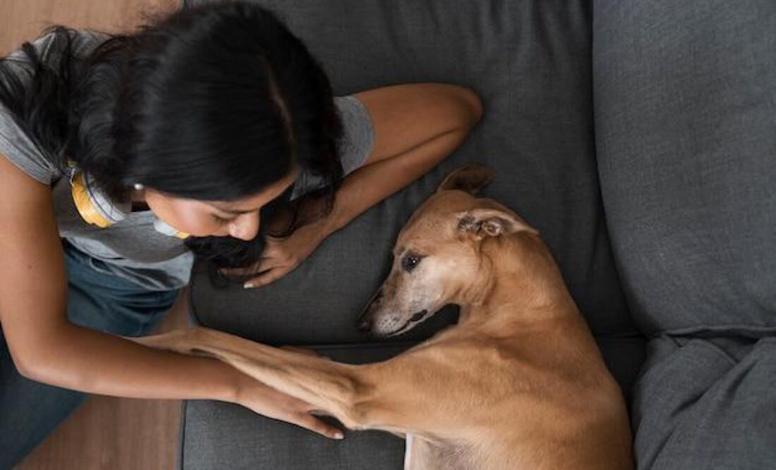 Beatriz Glowinski, académica de la Facultad de Psicología de la UNAM aseguró que es indispensable tratar el duelo de este tipo de perdidas. Fuente: Freepik.