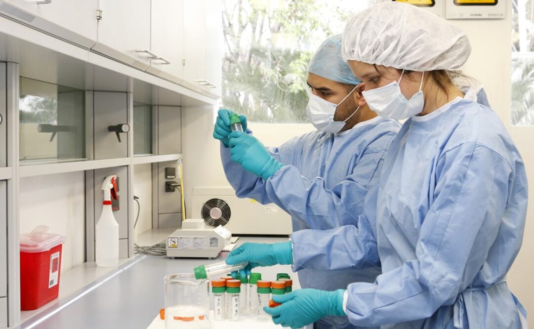 According to reports, the Cofepris has been quite ineffective in recent months - Photo: Courtesy of Cofepris