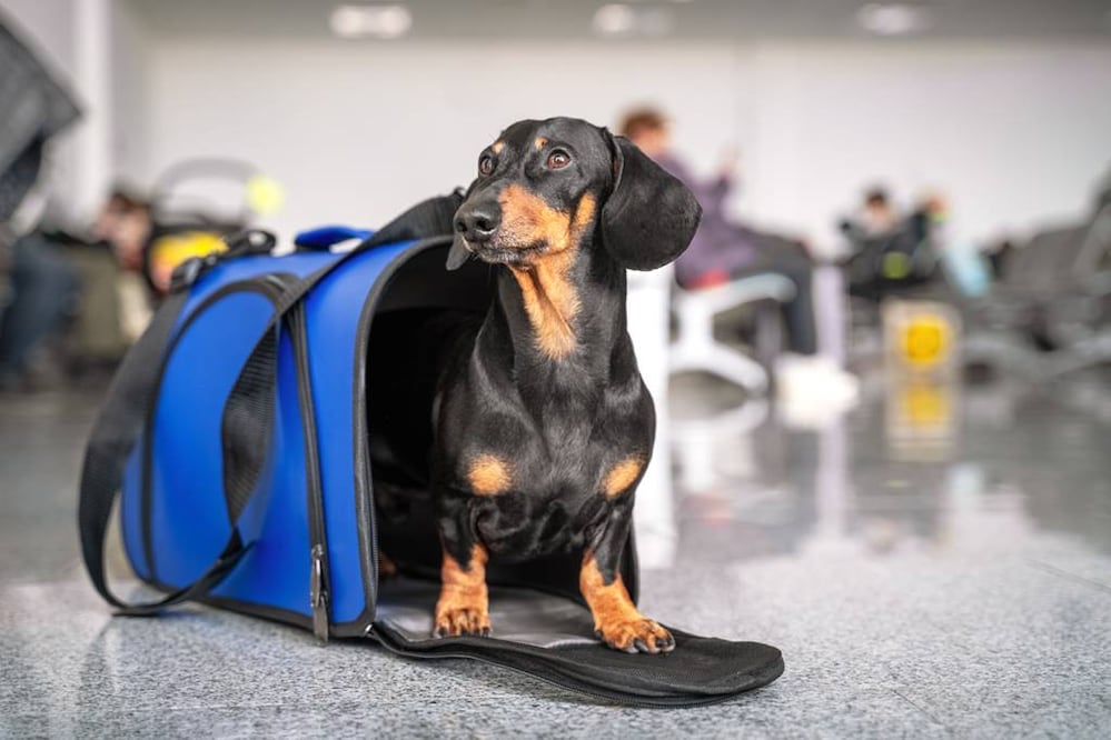 Foto: iStock