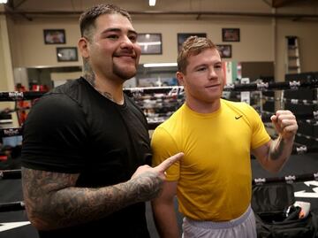 Canelo Álvarez revienta a Andy Ruiz por ya no ir a entrenar