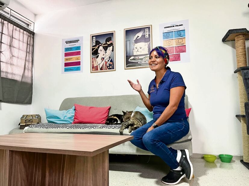 Silvia menciona que tener un gato cambia el rumbo de tu vida. Foto: Patricia Morales / El Universal