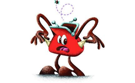 Haz una radiografía a tu situación financiera