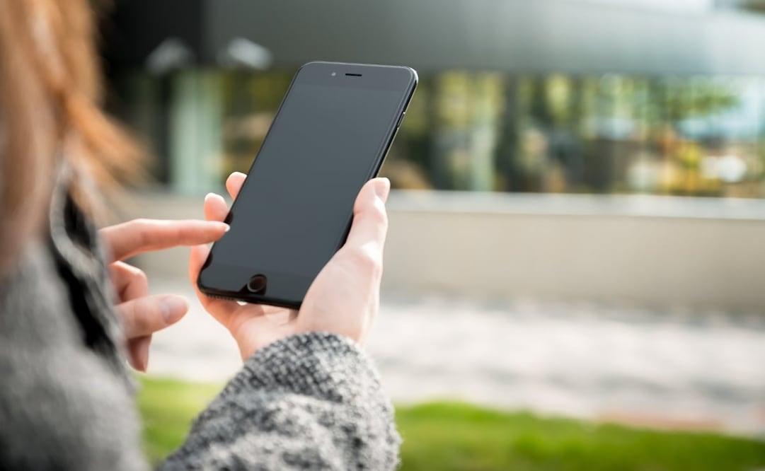 Los dos sistemas operativos más grandes ofrecen opciones. Imagen Pixabay 