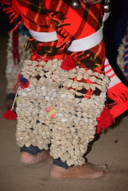 Danza tradicional corre peligro por disminución de capullos de mariposa