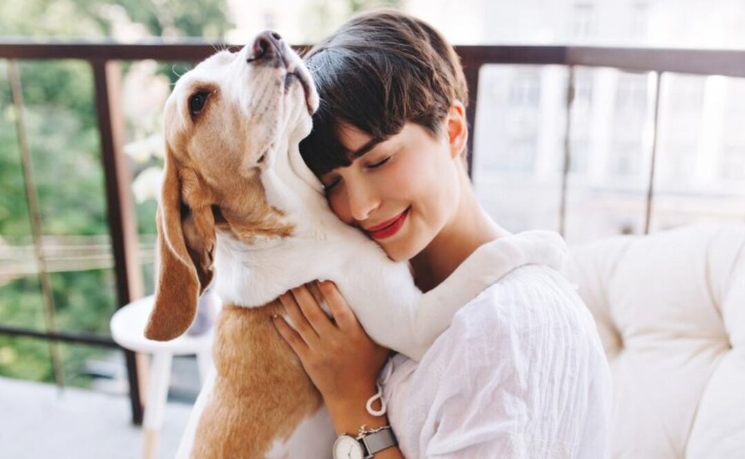 Los animales domésticos, pueden ser portadores de parásitos. Fuente:Freepik.