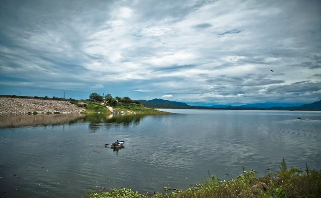 Foto: Archivo/ Cuartoscuro     