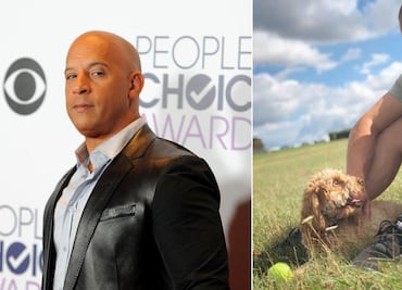 Doble de Vin Diesel en "Fast and furious 9" está en coma