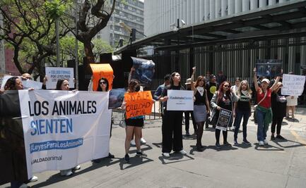 Activistas protestan contra maltrato animal afuera del Senado tras sacrificio de gallina en el recinto