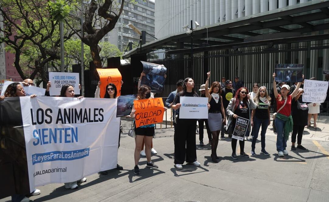 Una veintena de organizaciones de protección animal y activistas se manifestaron afuera del Senado para protestar por el degollamiento de una gallina al interior del recinto legislativo. Foto: Carlos Mejía. EL UNIVERSAL