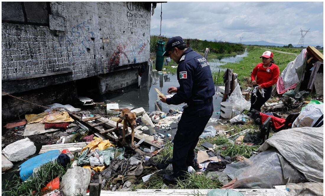 Maltrato animal. Foto: Especial