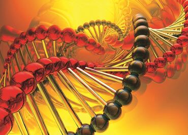 ¿Qué es el sistema CRISPR-Cas9 para la edición genética?