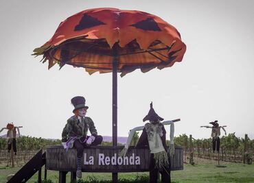 Hallowine: vino y Halloween en un viñedo de Querétaro