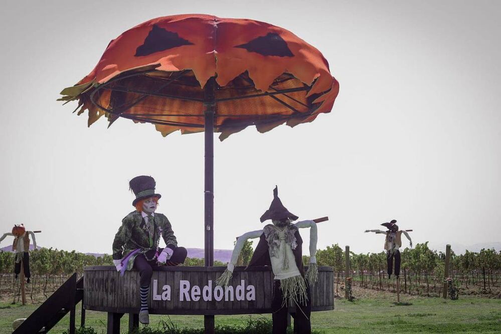 Foto: Viñedos La Redonda
