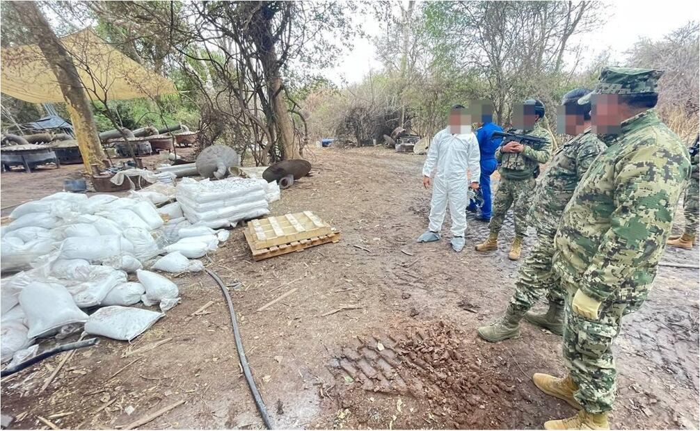 De julio del 2023 a julio del 2024 Semar y FGR asegura en Durango y Sinaloa 926 toneladas de droga. Foto: Especial