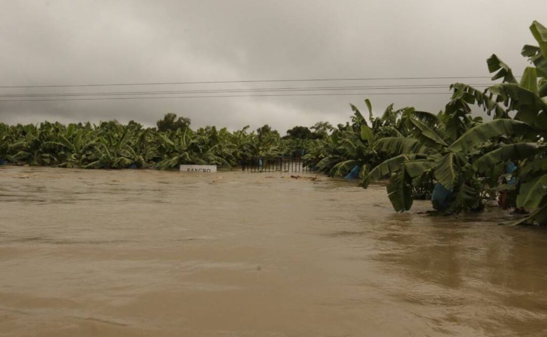 Foto: Luma López / EL UNIVERSAL